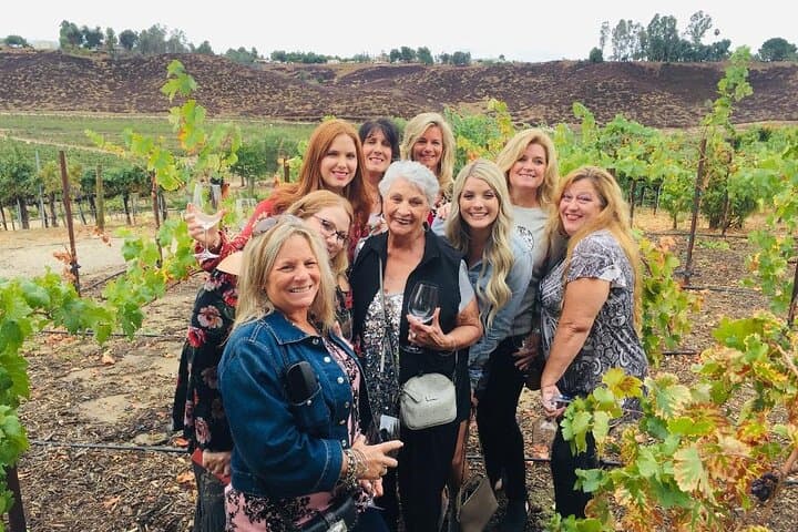 Private Temecula Wine Tasting Tour: Vineyard Drive, Tastings & Lunch photo 4