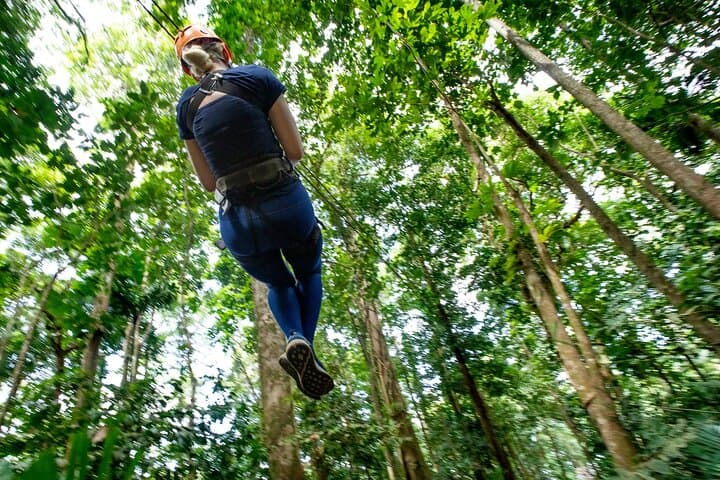 Soaring the St. Lucia Canopy: A Thrilling Adrena-Line Zipline Adventure photo 4