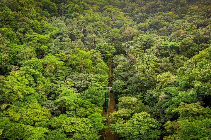 St Lucia Ultimate 3: Aerial Tram, Zipline & Rainforest Hike at Rainforest Adventures photo 6