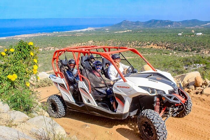 Cabo San Lucas 6-Day Adventure: First-Class Action, Ocean Encounters & Desert Thrills