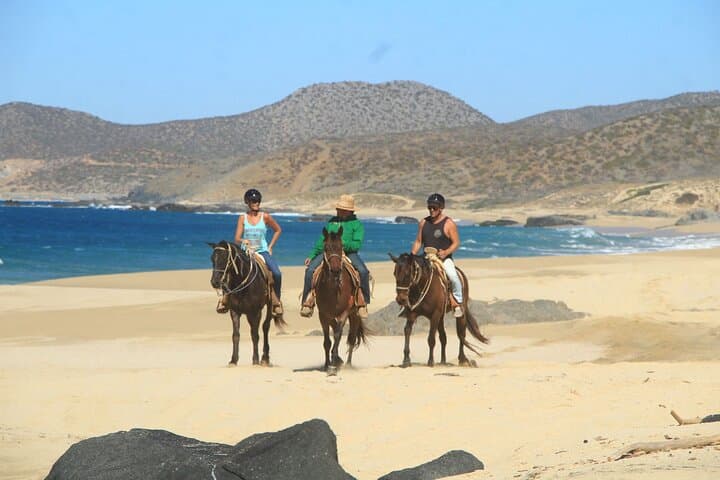 Cabo San Lucas 6-Day Adventure: First-Class Action, Ocean Encounters & Desert Thrills photo 3
