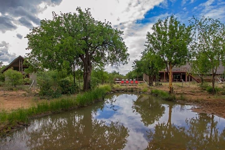 2-Day Pilanesberg Safari: Big Five Game Drives and 4-Star Lodge photo 1