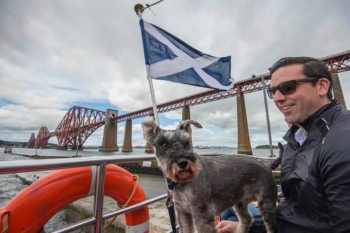 Firth of Forth 90-Minute Sightseeing Cruise — Under the Forth Bridges & Inchcolm Island Views photo 6