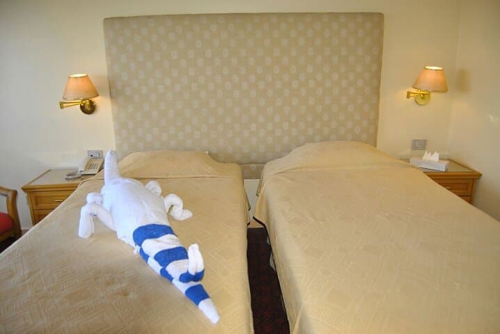 Aswan to Luxor Nile Cruise — 2-Night Kom Ombo & Edfu Itinerary photo 6