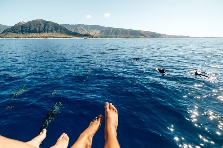 Private Oahu Sunset Yacht Charter from Ko Olina with Tasting Menu photo 6