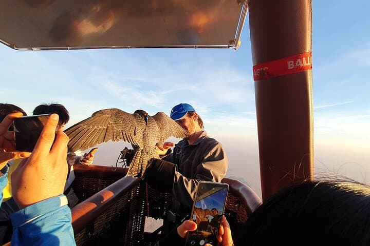 Sunrise Hot-Air Balloon Over Dubai Desert Conservation Reserve: Falcons, Dunes & Breakfast photo 6