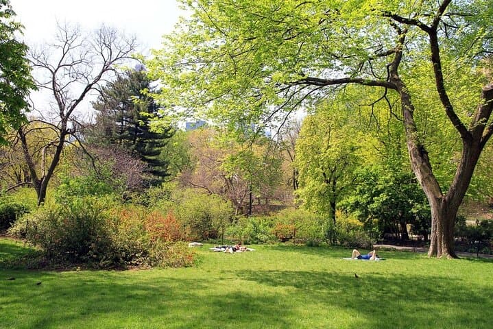 Central Park Self-Guided Scavenger Hunt | App-Led Urban Adventure in NYC photo 2