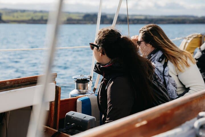 Eco Sailing to the Maori Rock Carvings in Taupo — Electric Yacht Tour photo 4