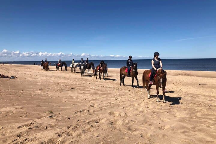 Private Beach Horseback Ride from Riga — Baltic Sea Dunes & Pine Trails photo 2