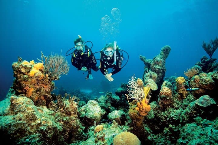 Aruba One-or-Two Tank Scuba Dive: Palm Beach Wrecks & Reefs photo 5