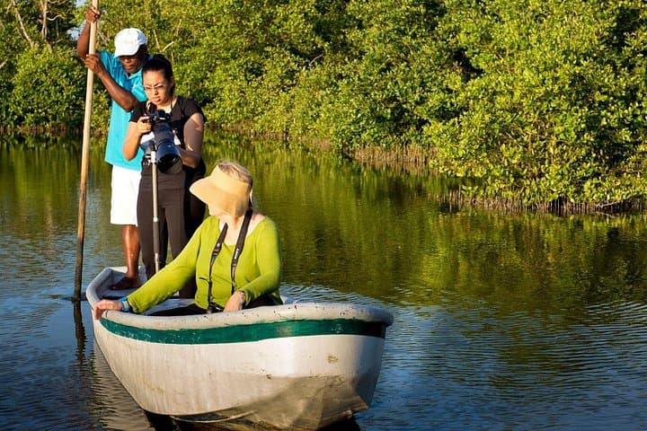 Cartagena Mangrove Nature Photography Tour: Sunrise & Sunset Canoe Workshop photo 2