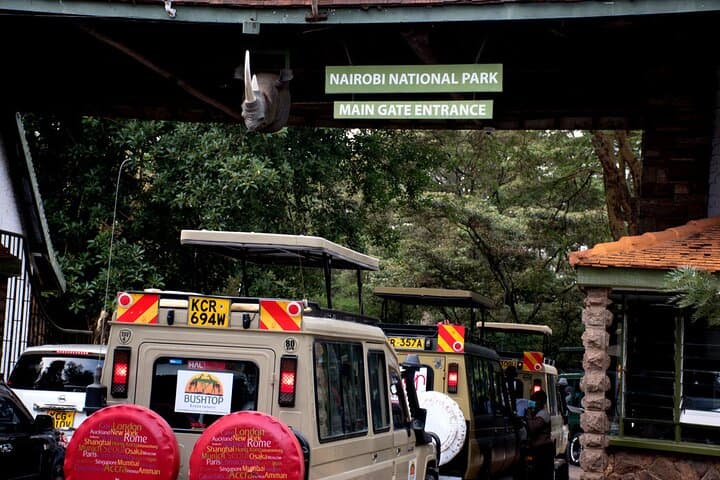 Inside Nairobi National Park: Half-Day Safari and Sheldrick Elephant Nursery Experience photo 6