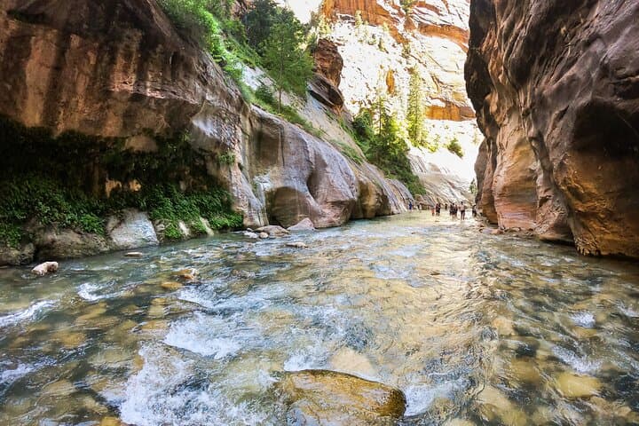 Private Zion Canyon Day Tour from Las Vegas — Hike the Virgin River & Scenic Drives photo 5