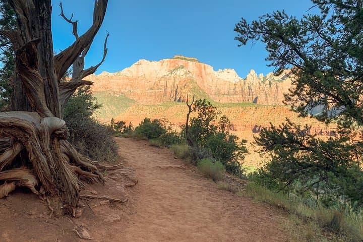 Private Zion Canyon Day Tour from Las Vegas — Hike the Virgin River & Scenic Drives photo 6
