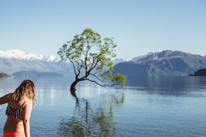 8-Day Southern Secrets Tour: South Island Highlights from Christchurch to Abel Tasman photo 2