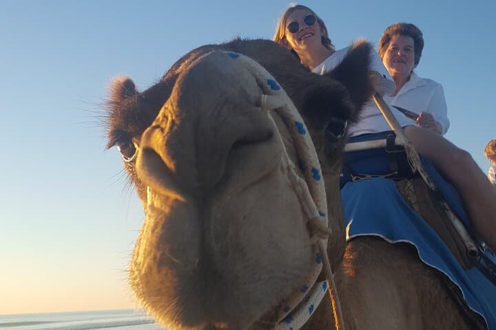 Cable Beach Camel Ride at Pre-Sunset — 30-Minute Camel Tour in Broome photo 3