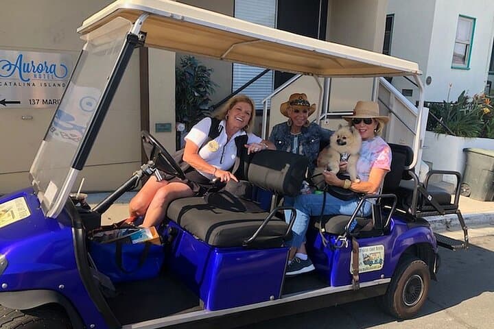 Catalina Island Golf Cart Tour of Avalon — Private 2-Hour Guided Experience photo 2