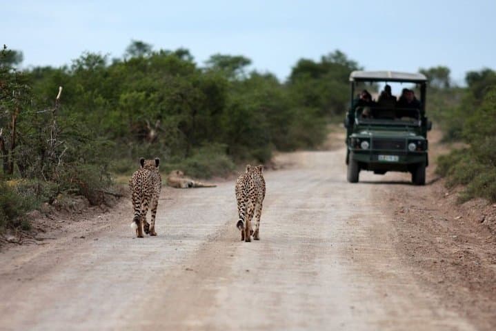 3-Day Budget Masai Mara Safari: Great Migration & Big Five Adventure photo 5