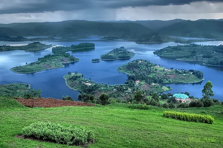 11 Days Classic Wildlife of Uganda — Gorilla Trekking & Safari Adventure photo 4