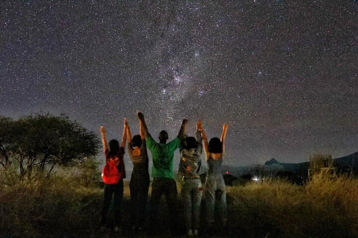 6-Day Masai Mara, Lake Nakuru & Amboseli 4x4 Jeep Safari from Nairobi photo 6