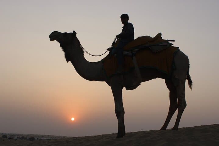 Osian Camel Safari: Sunset Temple Tour from Jodhpur photo 3