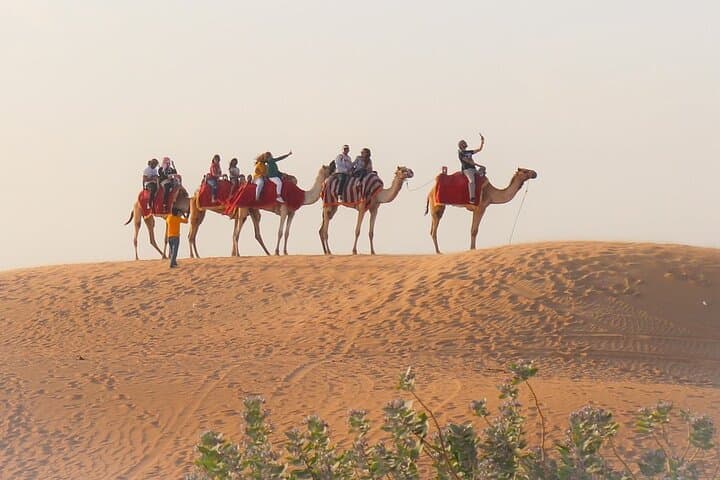 Osian Camel Safari: Sunset Temple Tour from Jodhpur photo 4