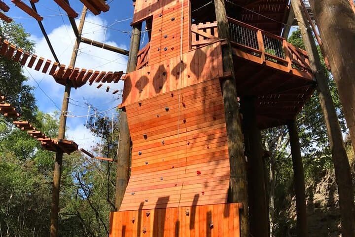 Conquer Coral Crater’s Aerial Challenge Course on Oahu photo 6