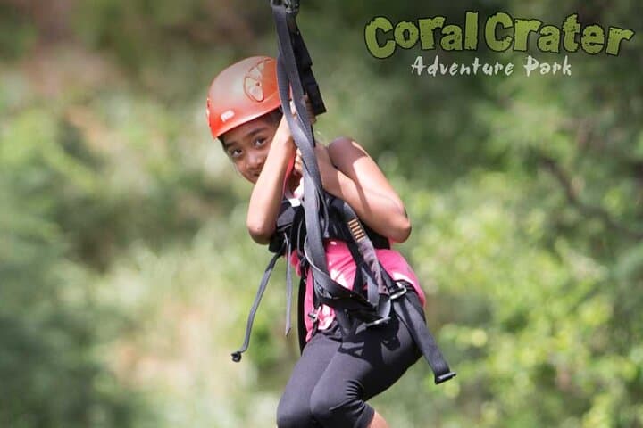 Zip Through Oahu's Canopy: 1-Hour 3 Zipline Tour at Coral Crater photo 4