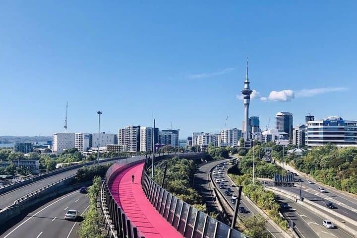 Private Ports of Auckland Highlights Transfer — Scenic Cruise-Terminal Drive to Auckland Airport photo 3
