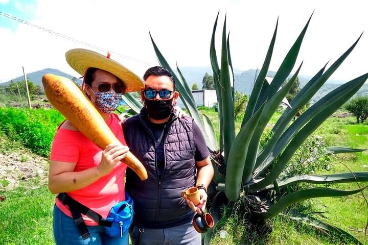 Pulque Ranch Day Trip in Tepotzotlán: Agave Fields & Cooking Workshop