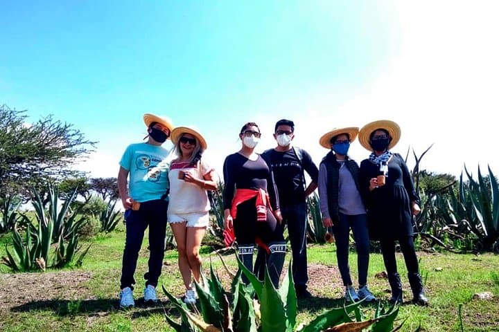 Pulque Ranch Day Trip in Tepotzotlán: Agave Fields & Cooking Workshop photo 3