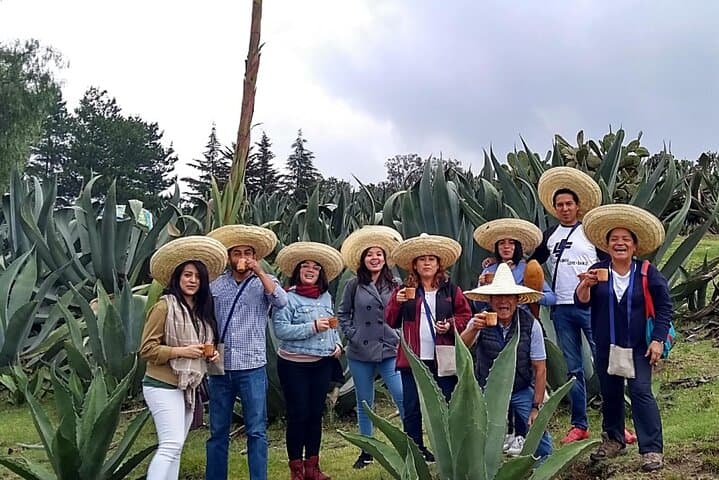 Pulque Ranch Day Trip in Tepotzotlán: Agave Fields & Cooking Workshop photo 4