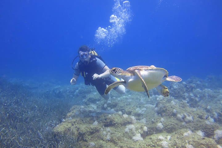 Scuba the Underwater Museum: Shared Dives off Side, Turkey photo 2