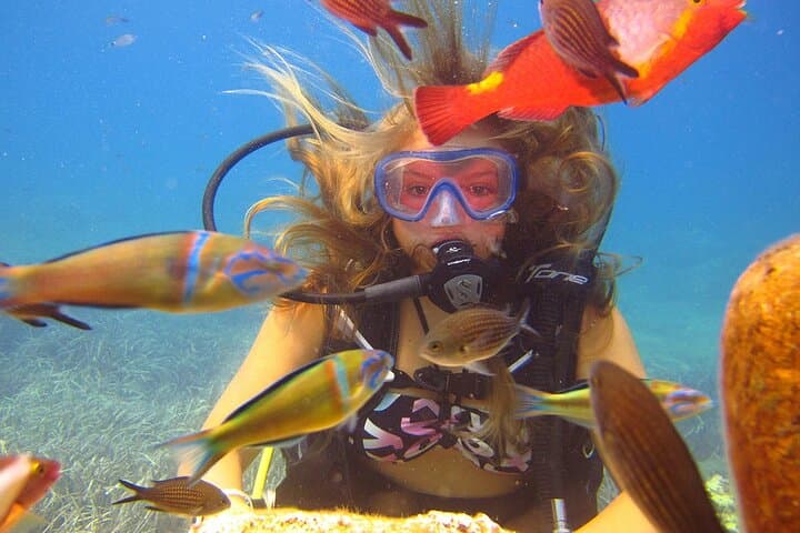 Scuba the Underwater Museum: Shared Dives off Side, Turkey photo 3