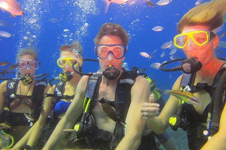 Scuba the Underwater Museum: Shared Dives off Side, Turkey photo 4