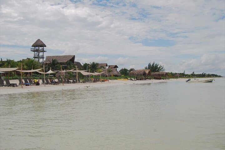 Isla Holbox Birdwatching Boat Tour from Chiquilá photo 2