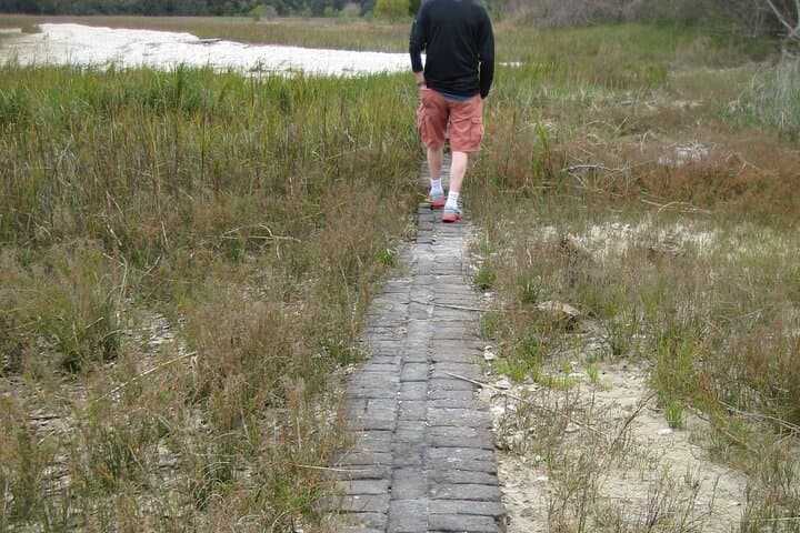 Exploring Amelia Island’s Eight Flags Road Tour: A 90-Minute Journey Through Coastal History photo 5