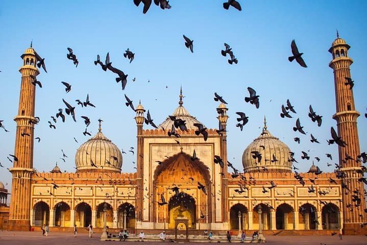 Qutub Minar & Mehrauli Archaeological Park Walking Tour with a Local Storyteller