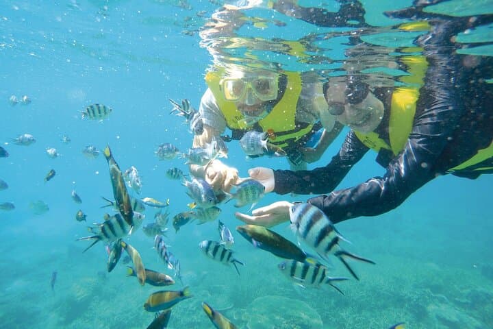 Perhentian Island Ferry from Kuala Besut — Quick Transfer & Arrival Guide photo 4