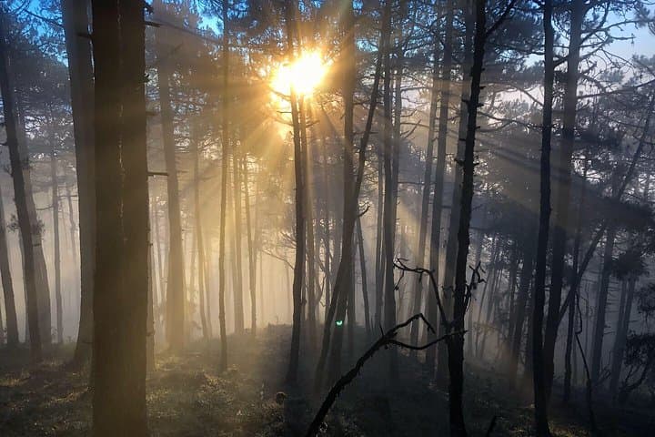 Mountain Biking La Cumbre Ixtepeji: Enduro Trails from Oaxaca City photo 5