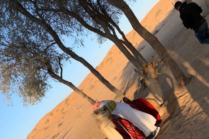 Dubai Shared Morning Desert Safari — Dune Bashing, Camel Rides & Sandboarding photo 5