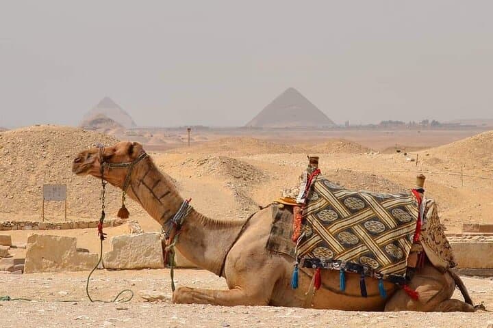 Giza Pyramids Sunrise & Sunset Horse Carriage Ride: Horse and Camel Options
