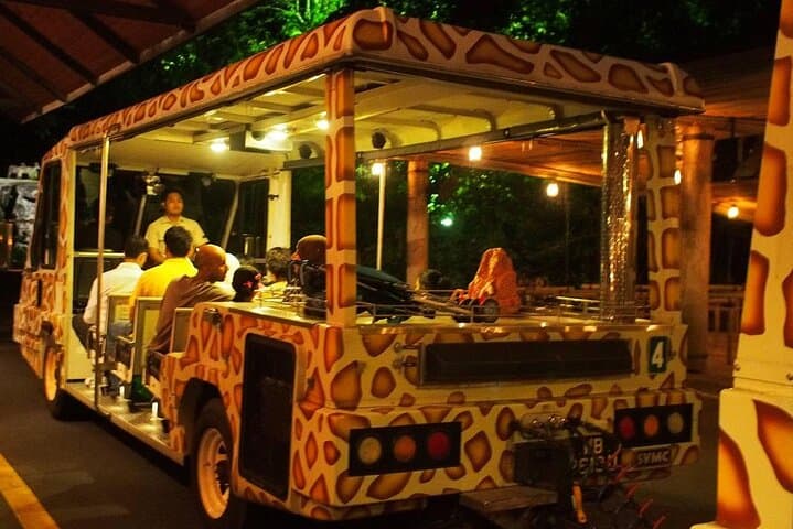 Singapore Night Safari: After-Dark Tram & Walking Trails for Wildlife Viewing photo 5