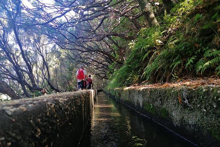 Rabaçal & Levada das 25 Fontes: Madeira's Iconic Waterfall Levada Hike