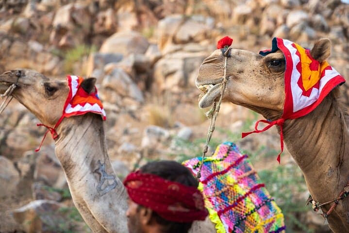 Incredible India: 9-Day Golden Triangle & Varanasi Private Tour photo 6