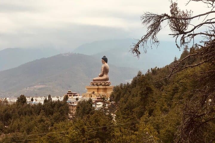 Cycling Thimphu Valley: Pine-Forest Trails, Dodina Loop & Rugged Sangaygang Route photo 3