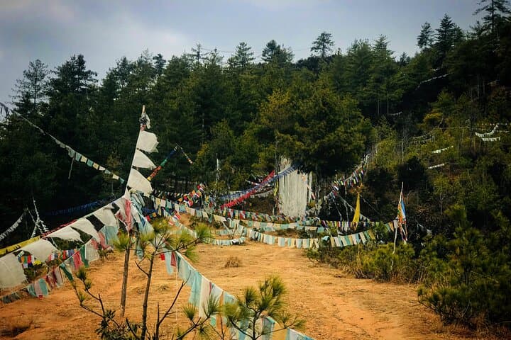 Cycling Thimphu Valley: Pine-Forest Trails, Dodina Loop & Rugged Sangaygang Route photo 6