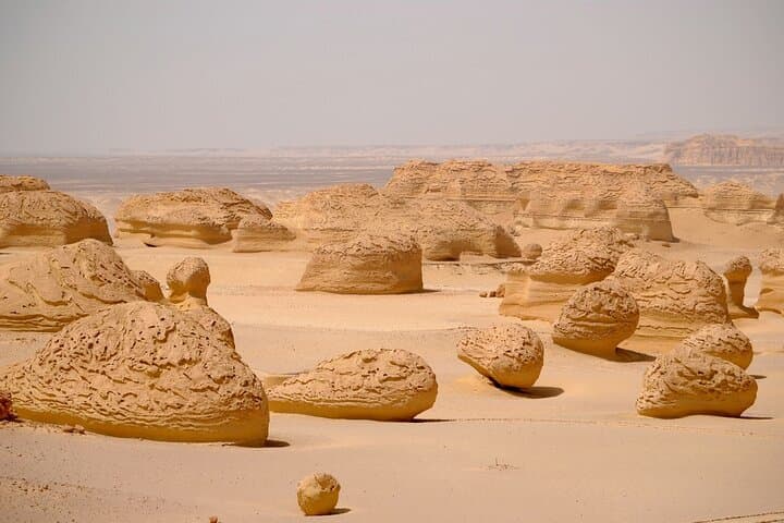 El Fayoum Day Tour from Cairo — Wadi Hitan, Waterfalls & Medinet Madi photo 3