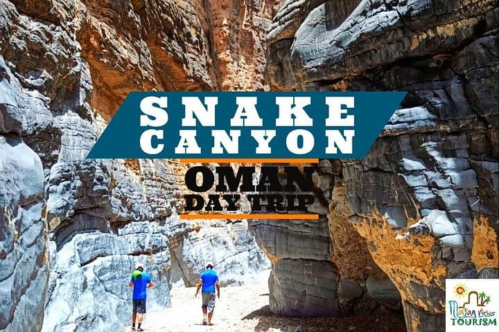 Into the Snake
