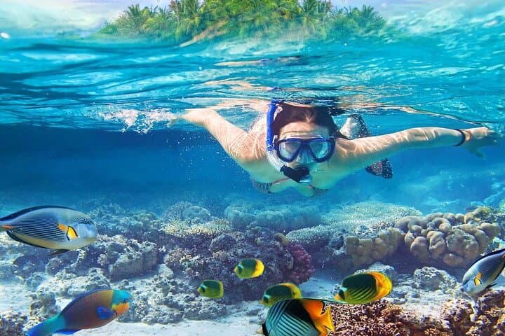 Satayh Dolphin Reef Snorkeling Trip from Marsa Alam — Spinner Dolphins & Red Sea Reefs photo 1